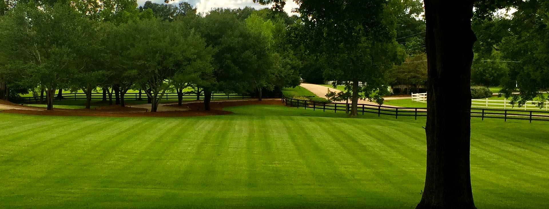 Trusted and proven. CMH Landscaping Will make sure you have an amazing-looking lawn.